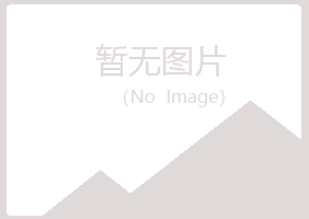 新城子区忆山水泥有限公司